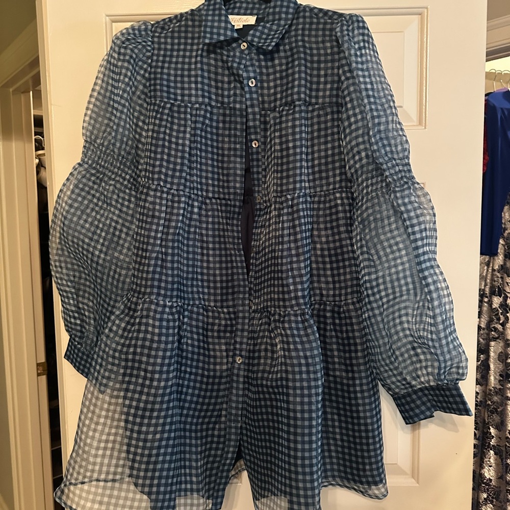 Listicle Blue Checkered Sheer Top